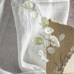 Hidden Shades - Image 3