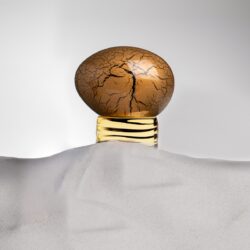 Golden Powder - Image 3