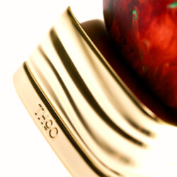 Live in Colours - Image 2